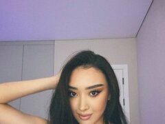 Model Recent Snapshot