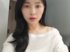 Model Recent Snapshot