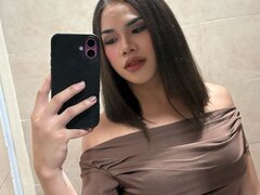 Model Recent Snapshot