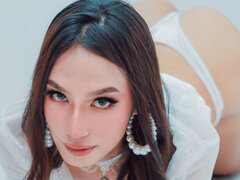 Model Recent Snapshot