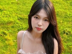 Model Recent Snapshot