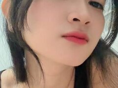 Model Recent Snapshot