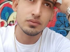 Model Recent Snapshot