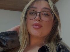 Model Recent Snapshot