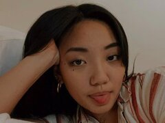 Model Recent Snapshot