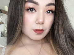 Model Recent Snapshot