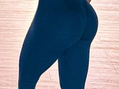 Model Recent Snapshot