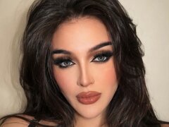 Model Recent Snapshot