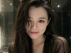 Model Recent Snapshot