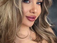 Model Recent Snapshot