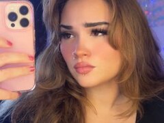 Model Recent Snapshot