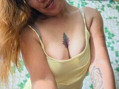 Model Recent Snapshot