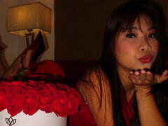 Model Recent Snapshot