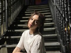 Model Recent Snapshot