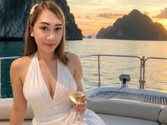 Model Recent Snapshot