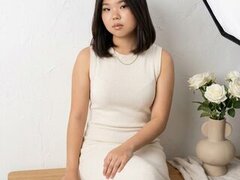 Model Recent Snapshot