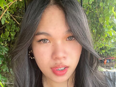 Model Recent Snapshot