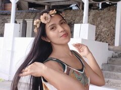 Model Recent Snapshot