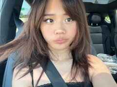 Model Recent Snapshot