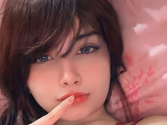 Model Recent Snapshot