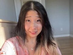 Model Recent Snapshot