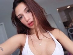 Model Recent Snapshot