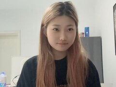 Model Recent Snapshot