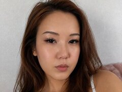 Model Recent Snapshot