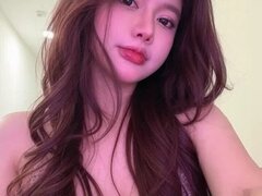 Model Recent Snapshot