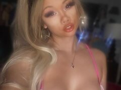Model Recent Snapshot
