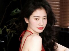 Model Recent Snapshot