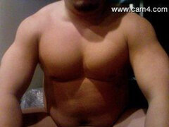 Model Recent Snapshot