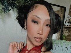 Model Recent Snapshot