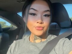 Model Recent Snapshot