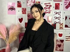 Model Recent Snapshot
