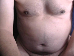 Model Recent Snapshot