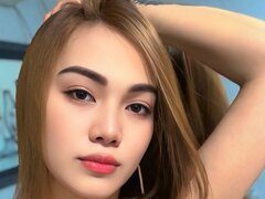 Model Recent Snapshot