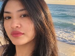 Model Recent Snapshot