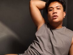 Model Recent Snapshot
