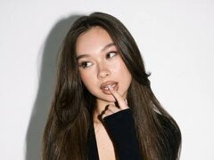 Model Recent Snapshot