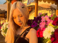Model Recent Snapshot