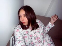 Model Recent Snapshot
