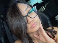 Model Recent Snapshot
