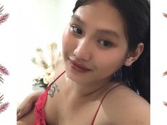 Model Recent Snapshot