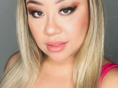 Model Recent Snapshot