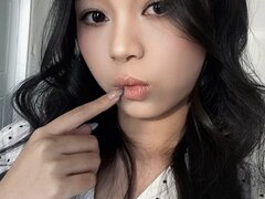 Model Recent Snapshot