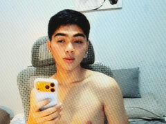 Model Recent Snapshot