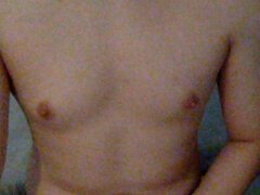 Model Recent Snapshot
