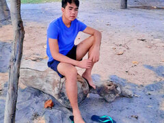 Model Recent Snapshot