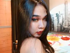 Model Recent Snapshot